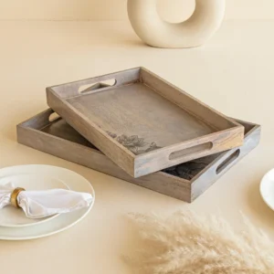 eva mango wood serving trays (set of 2)